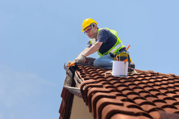 Best Roof Leak Repair  in Mesquite, TX